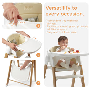 High Chair for Babies and Toddlers Adjustable Foldable Convertible