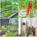 2 Pack Tomato Cage for Garden Plant Support