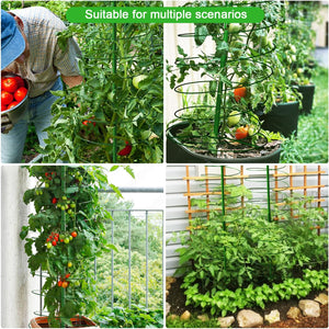 2 Pack Tomato Cage for Garden Plant Support