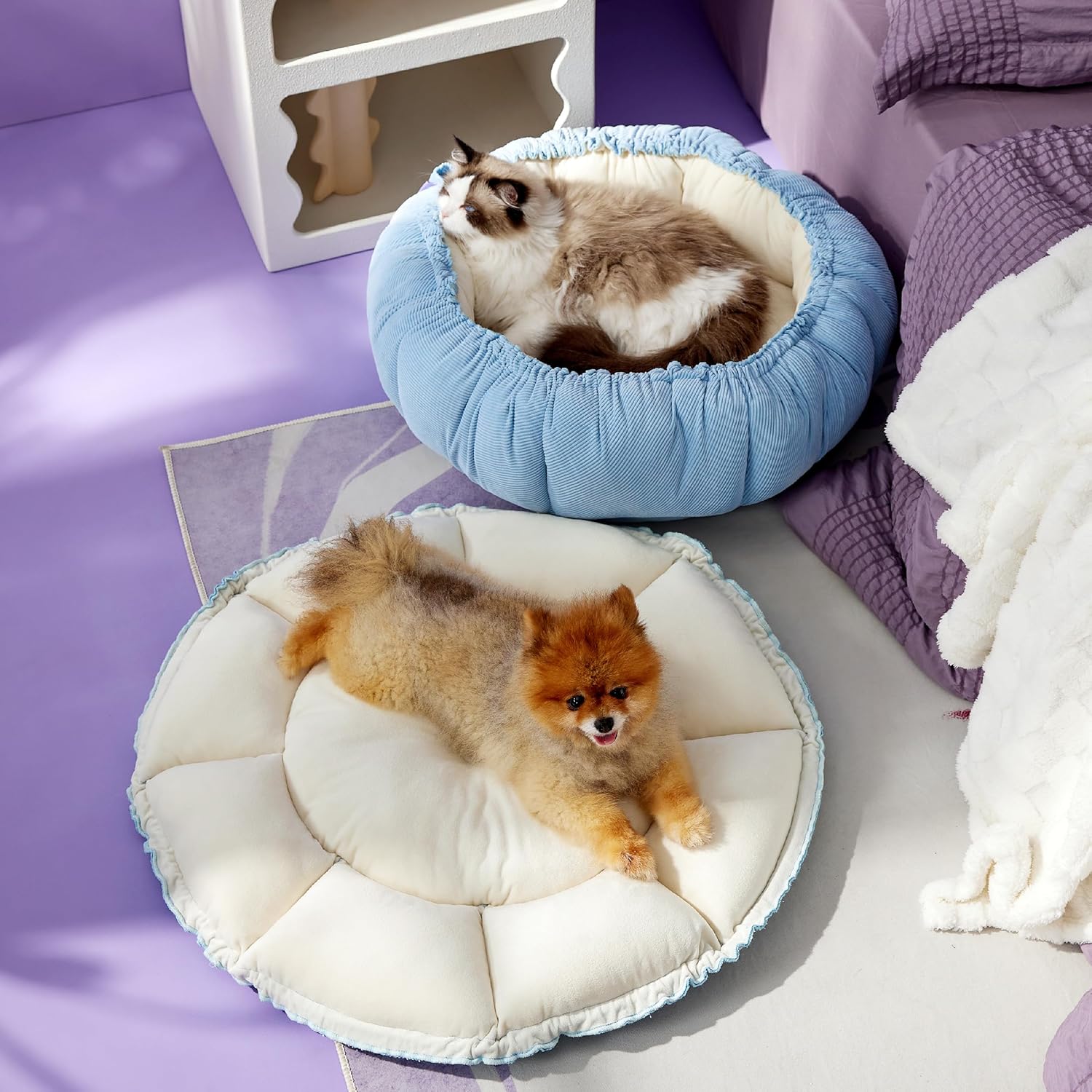 Cat Beds for Indoor Cats - Washable Cute Cat Beds with Versatile