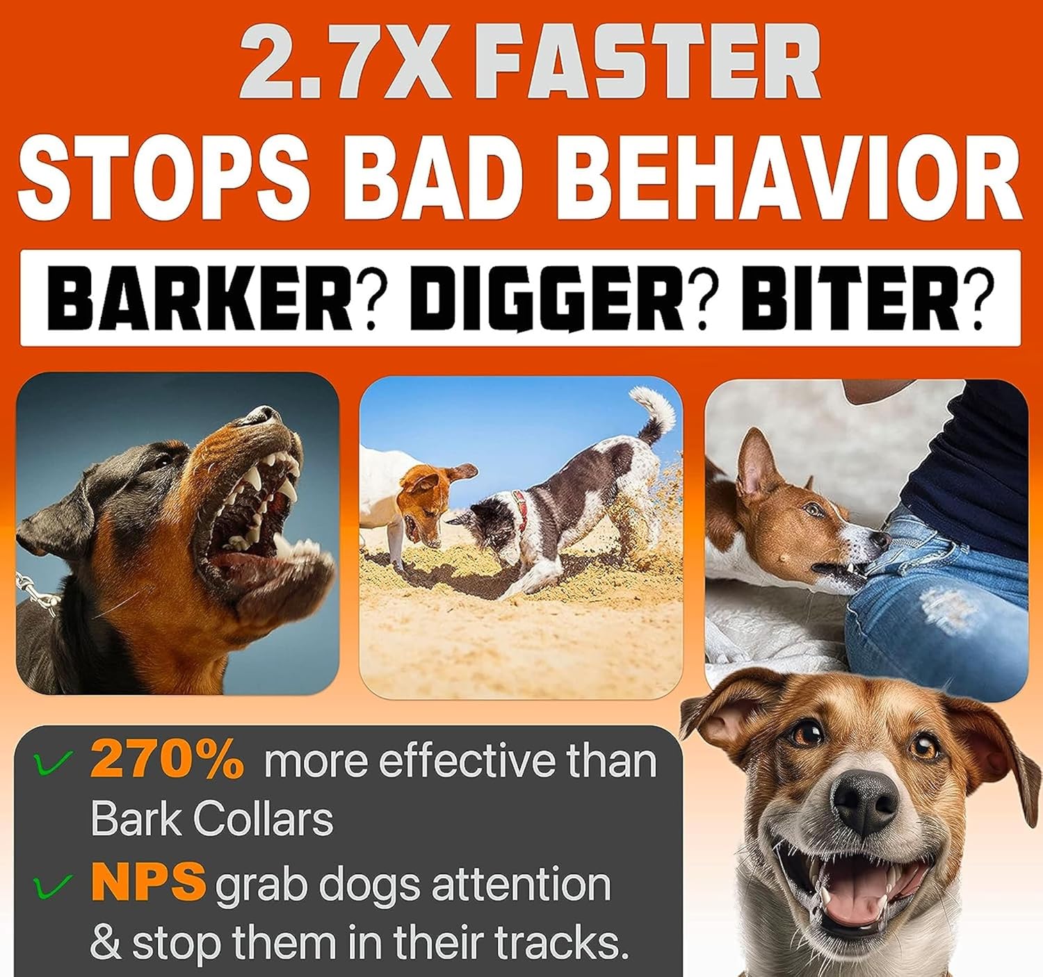 Dog Bark Deterrent Device Stops Bad Behavior