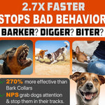 Dog Bark Deterrent Device Stops Bad Behavior